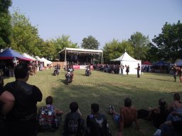 motoduck 2013_054